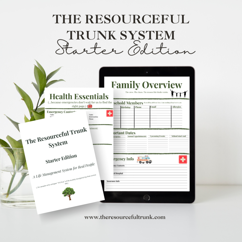 etsyRTsystem1