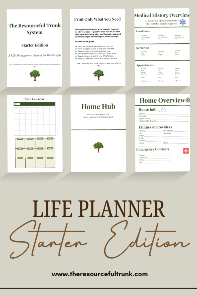 etsyRTsystem6